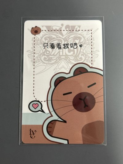IVE yzy卡皮巴拉安（中文卡背）