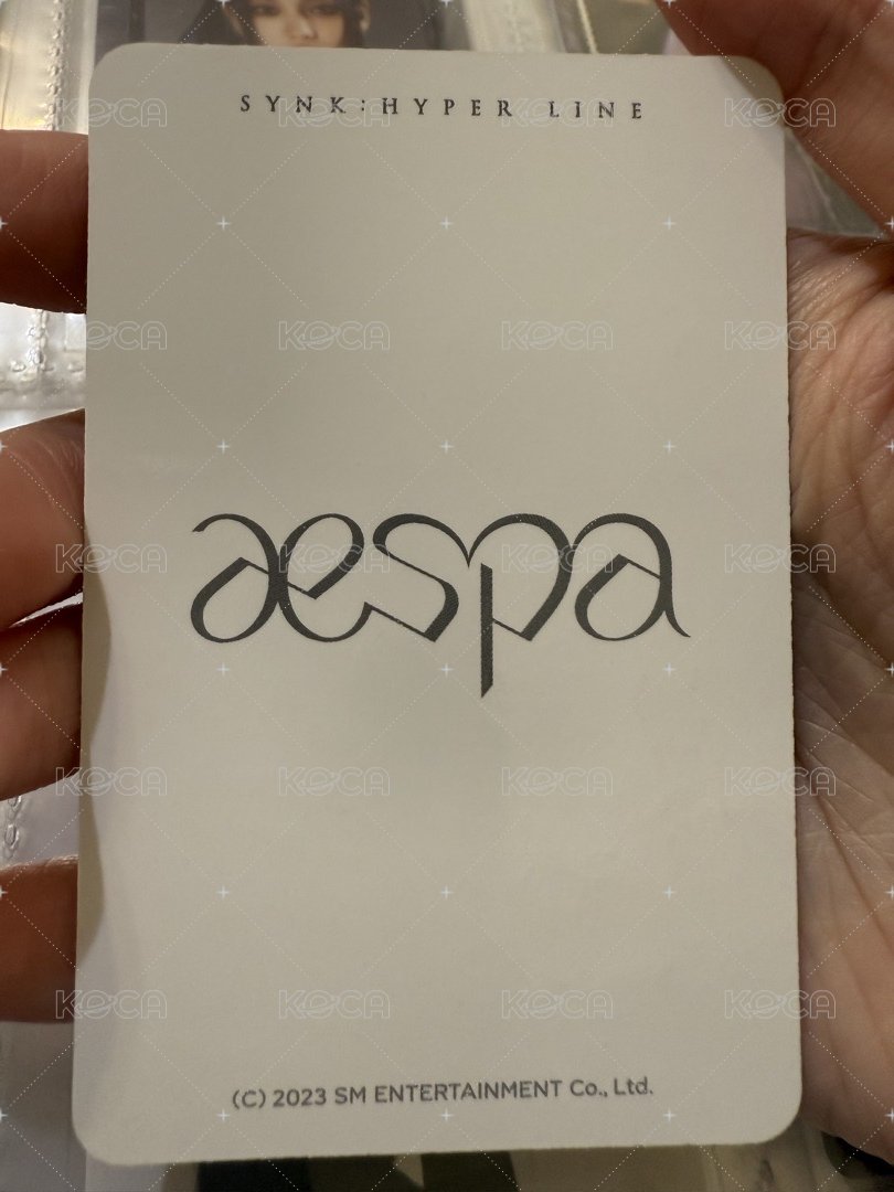 一巡 隨機卡 柚 背面