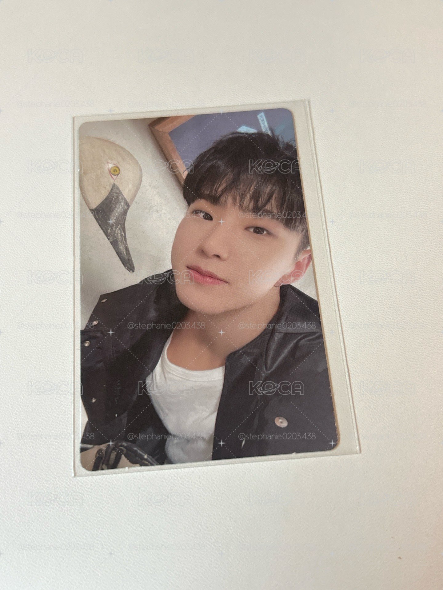 Hoshi 專卡