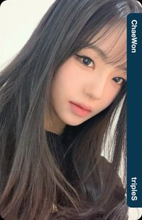 24大隊 專輯卡 D303