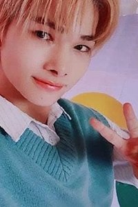 22年D社 雜誌卡 卡冊卡