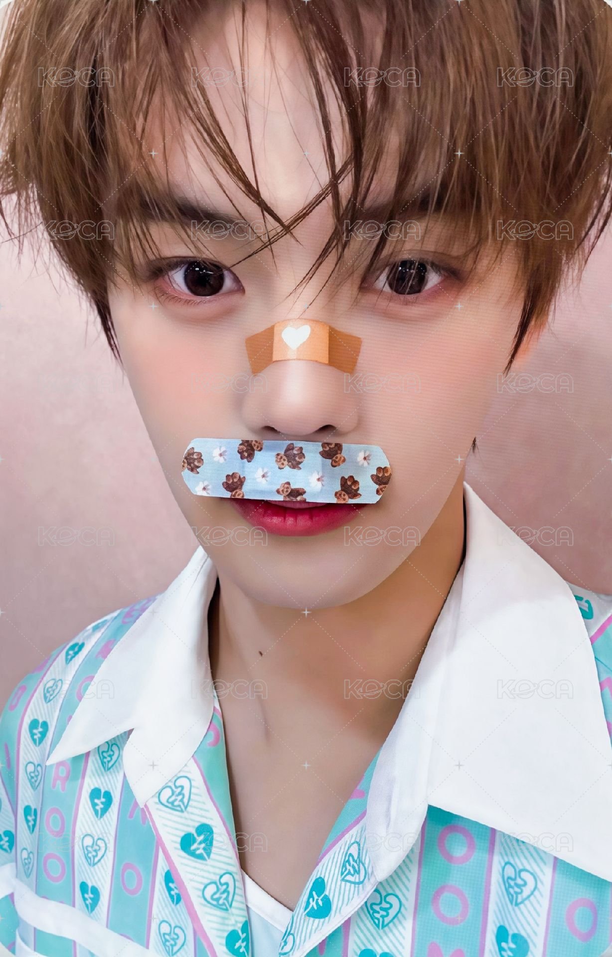 迷五 am 特典卡 動物創可貼ver. 正面