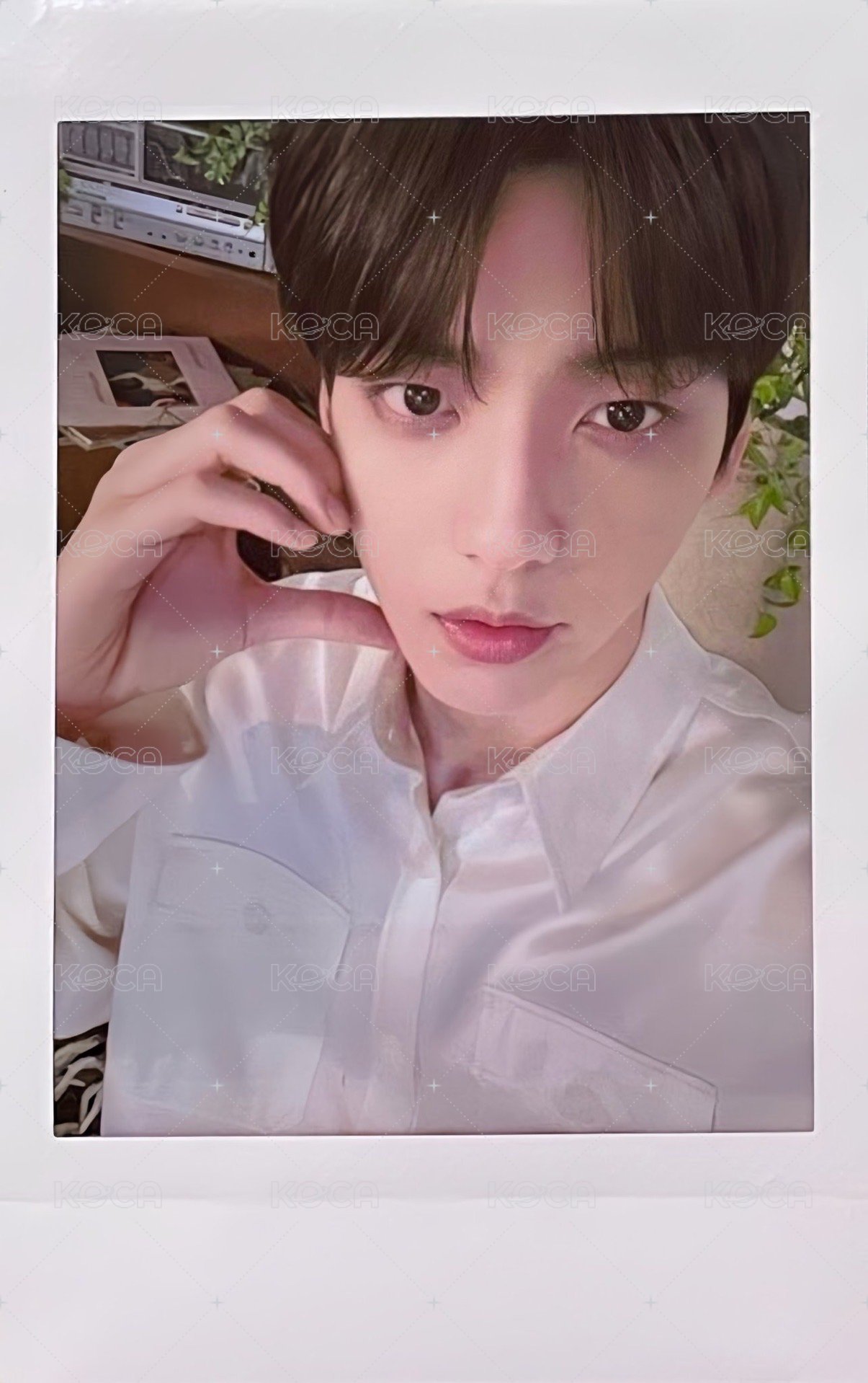 24’巡迴 隨機卡 日巡拍立得 正面