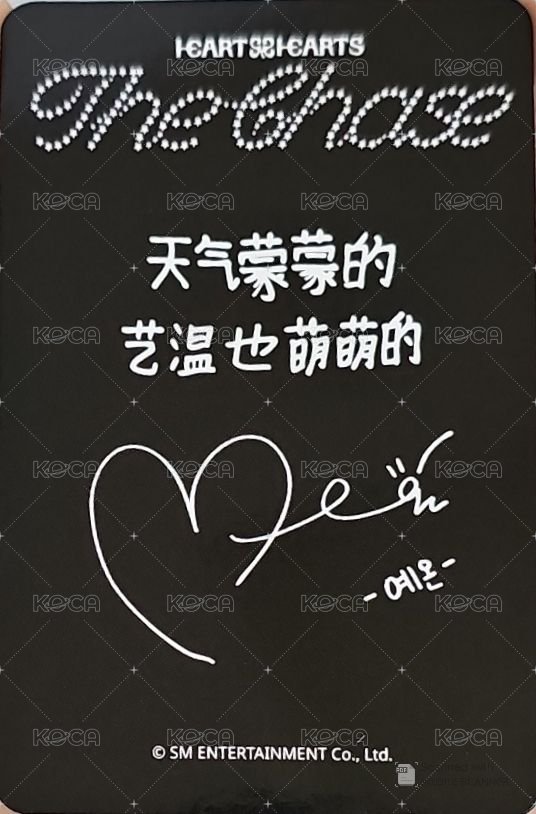 單一 sr 1.0 簽售卡  背面