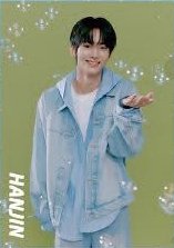 萬代 扭蛋盲盒 資料夾