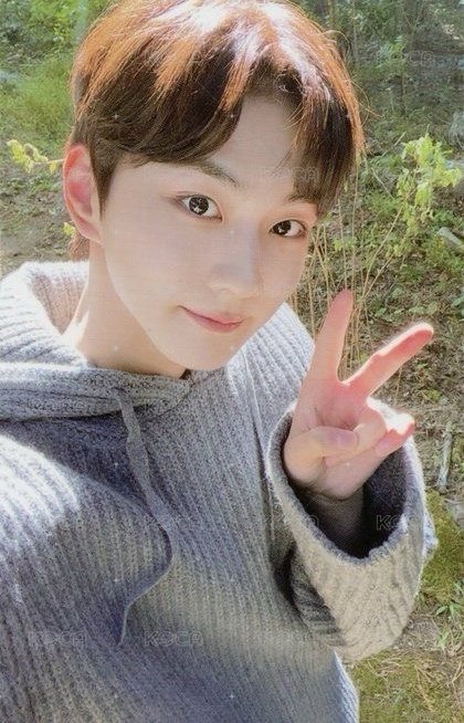 迷一 wvs 特典卡  正面