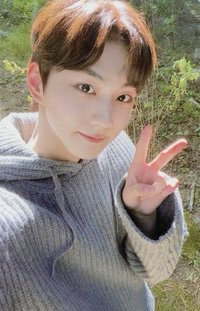 迷一 wvs 特典卡 