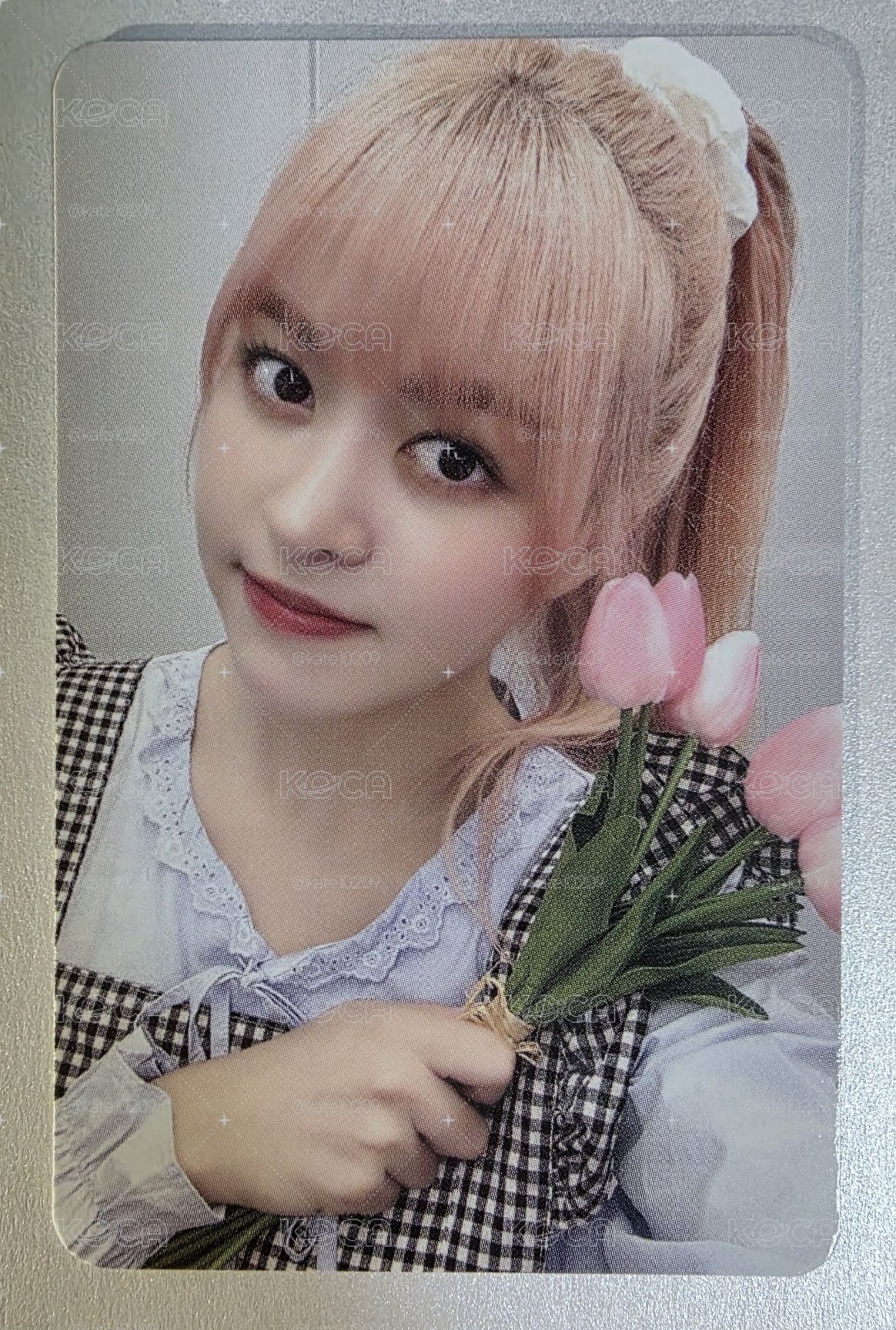 NMIXX Lily MS花店