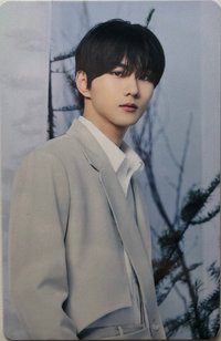 WTL世巡 隨機卡 WTL日巡卡包隨機卡