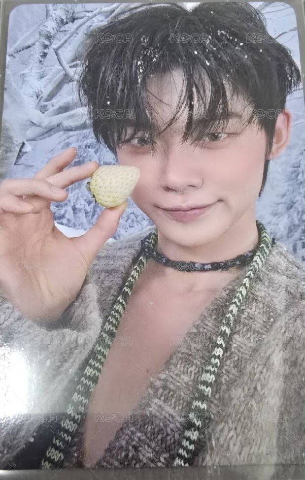 CHIKAI 誓い 隨機卡 草莓竣 正面