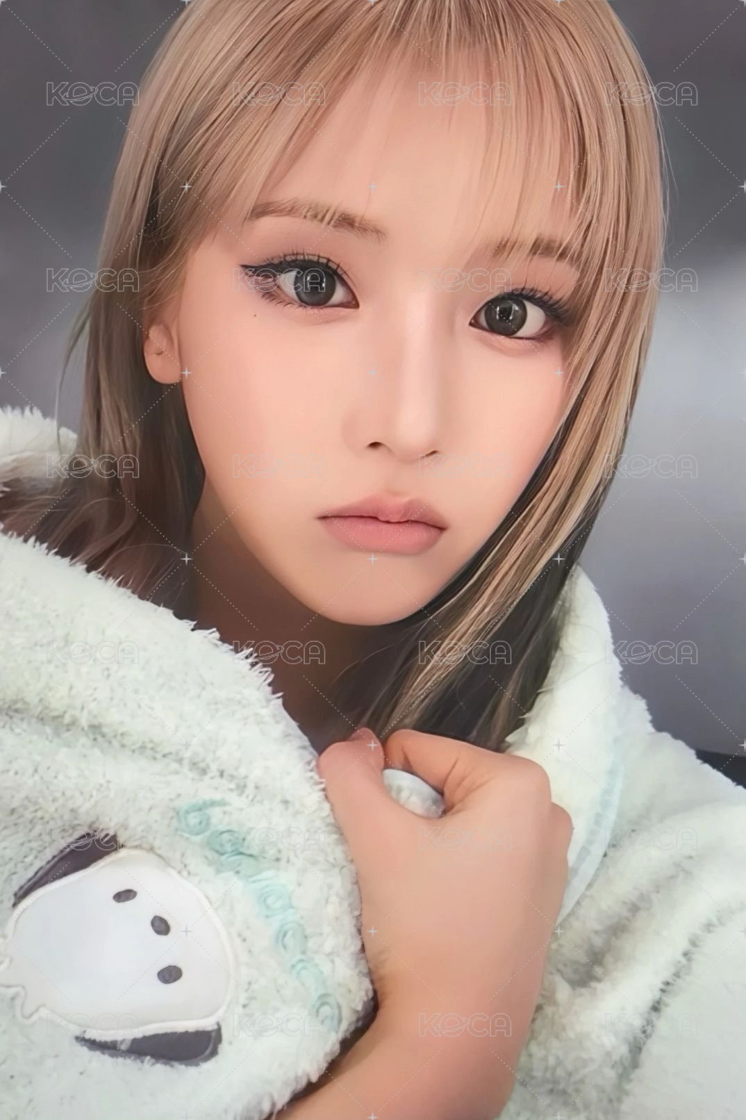 FORWARD jyp 幸運卡 友 正面