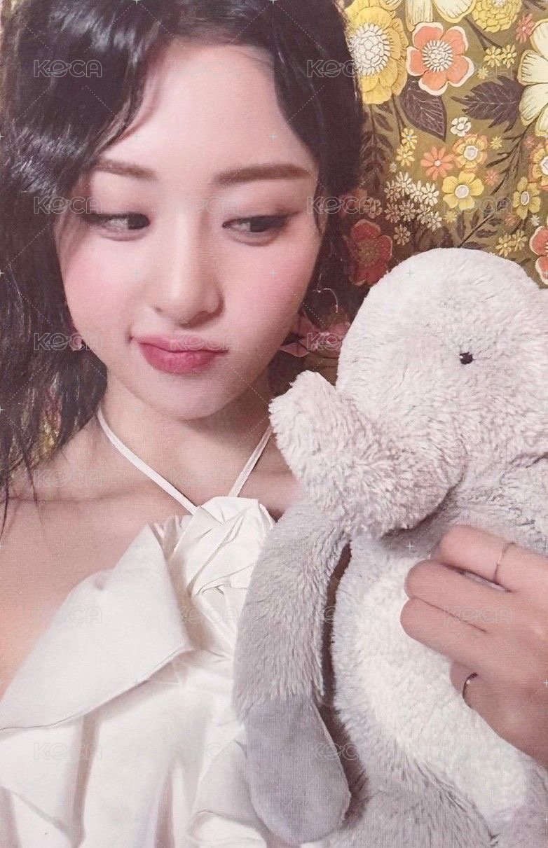 DICON 雜誌卡 B版 正面