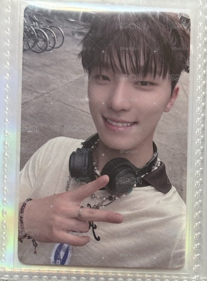 一直娛簽售卡 DINO