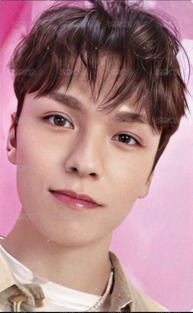 DREAM 日咖 特典卡 ｜WVSJP特典 正面