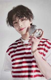 MAXIDENT 專輯卡 Case ver.