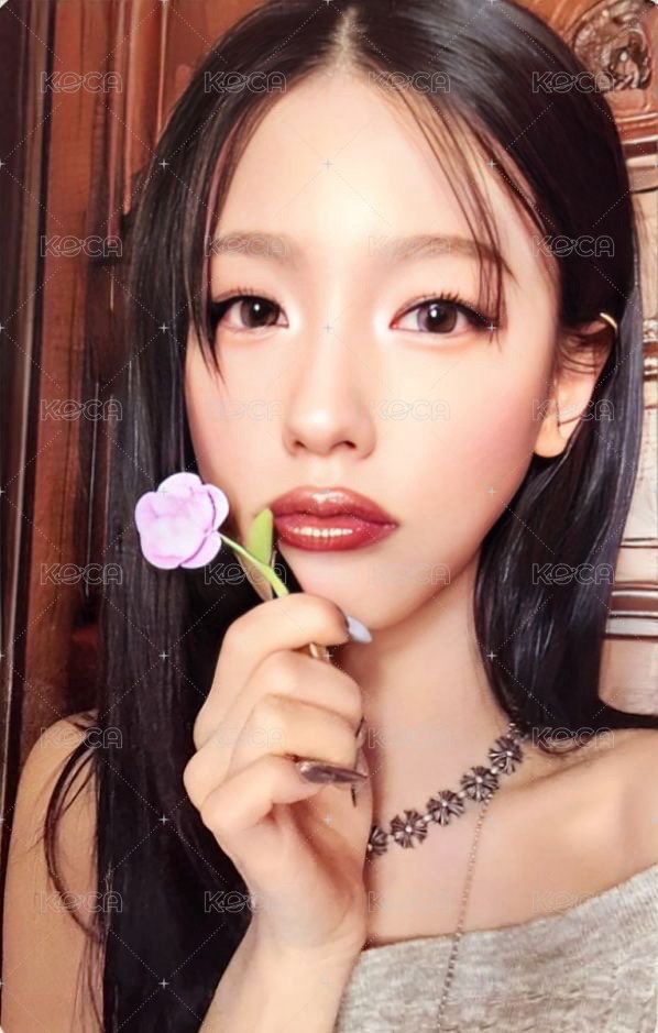 We are ms 特典卡  正面