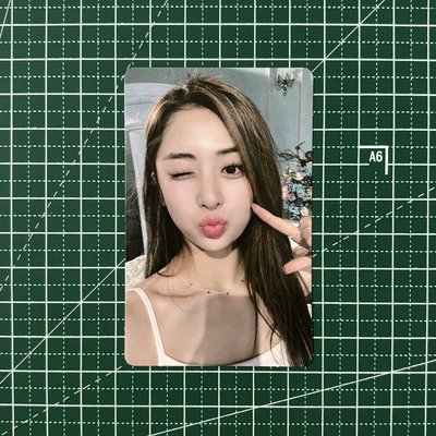 𓊆 無畏專輯卡 🐶𓊇