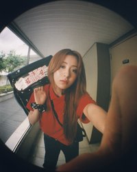 金毛
