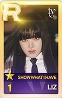 SHOW WHAT I HAVE 遊戲卡 