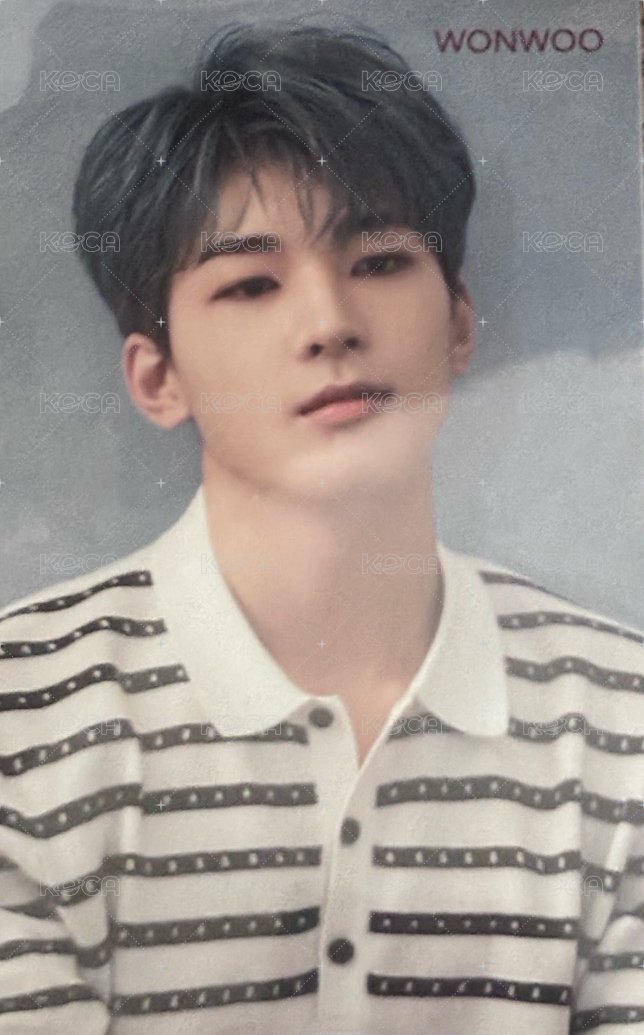 落花 hmv 特典卡  正面