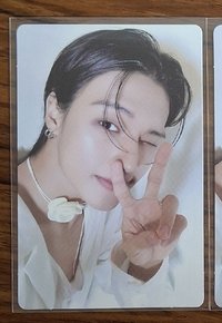 花花配美人🐈‍⬛