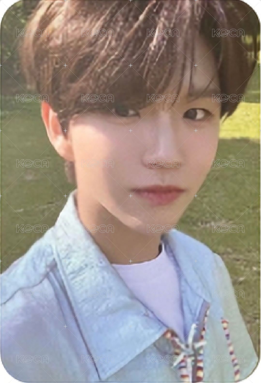 Songbird 專輯卡 Nct Wish Jaehee  letter版 專卡 正面