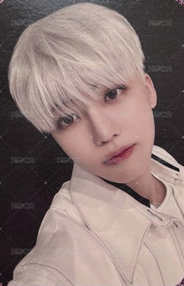 DREAM( )SCAPE mumo 特典卡  正面