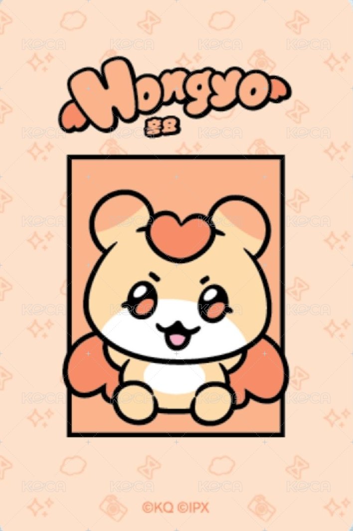 MIGHTEEZ 滿額卡 五萬 背面