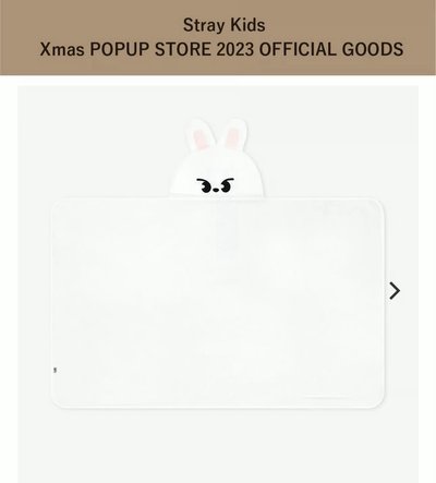 SKZ 聖誕澀谷毛毯旻