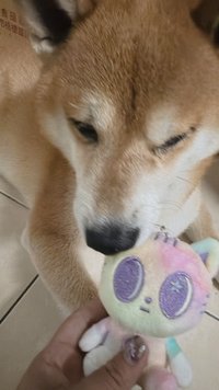 太閒了來賣卡