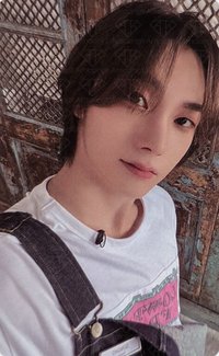 19.99 wvs 直播卡 Clink ver.   1