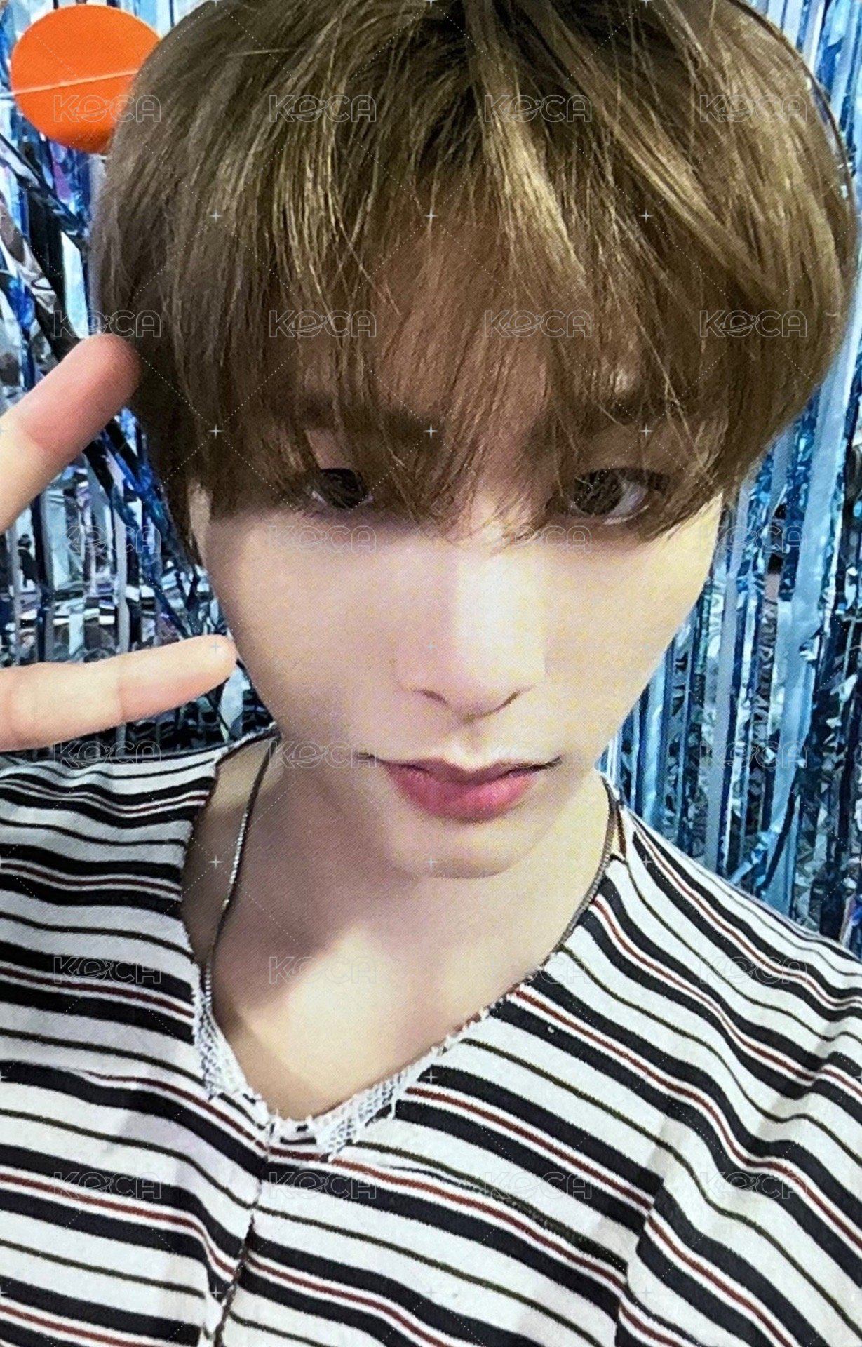 25生日 wvs 周邊卡 小卡組 固配 正面