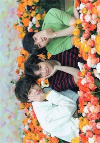 LY Tour 隨機卡 日巡 分隊 (1/8)