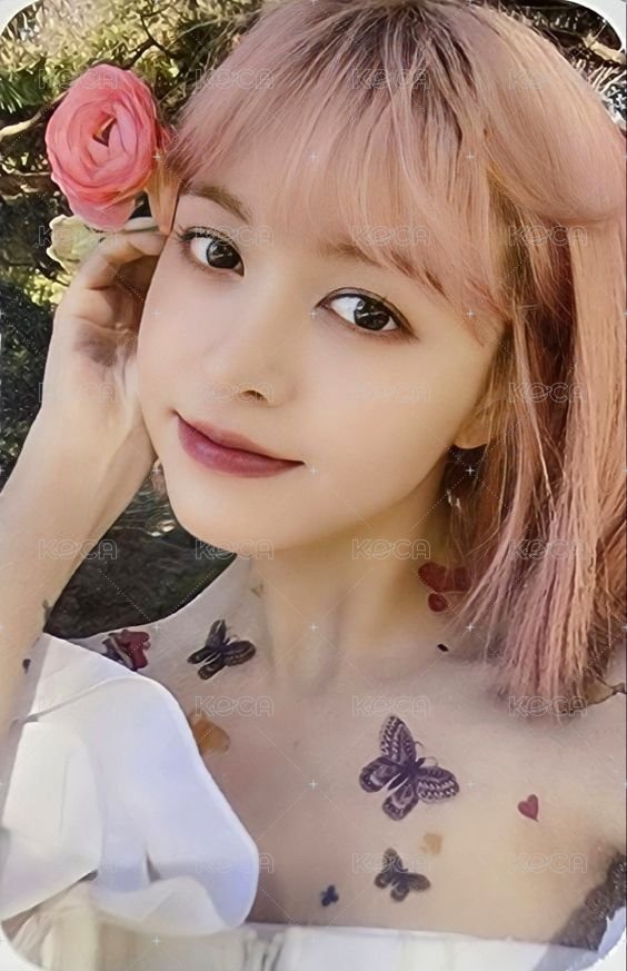 expérgo sw 預售 特典卡  正面