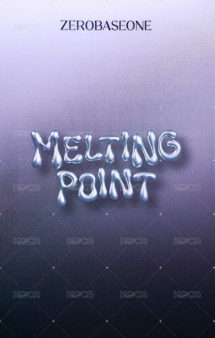 迷二 wm 幸運卡  背面