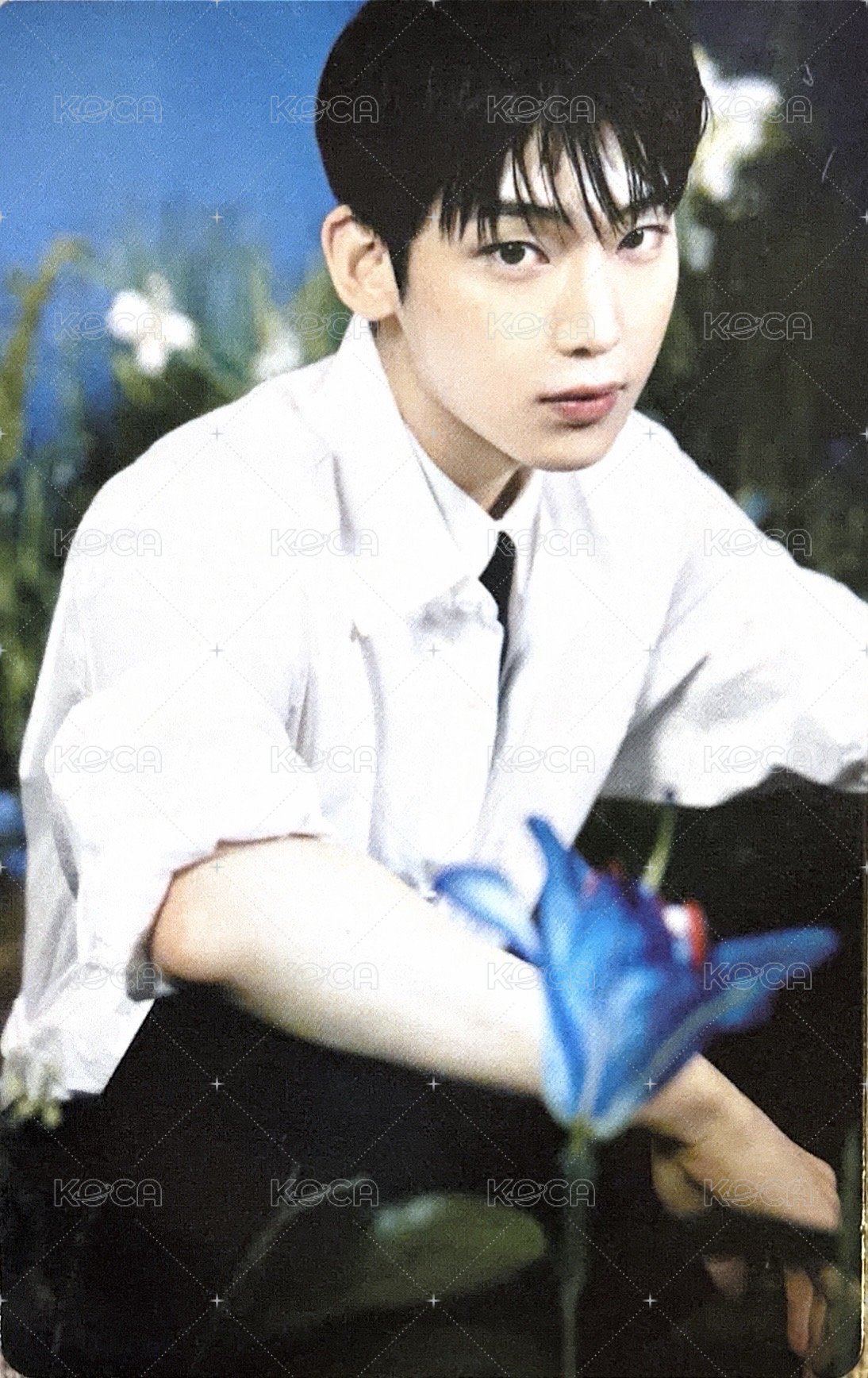 待編輯   隨機卡 WTL場週隨機卡包 官拍卡 02/08 正面