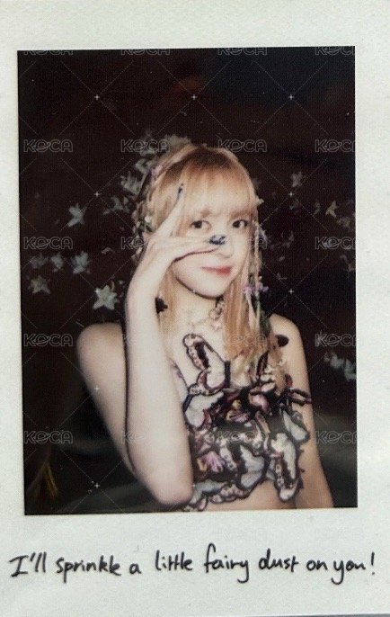 仲夏夜 專輯卡 普版 Forest 拍立得莉 正面