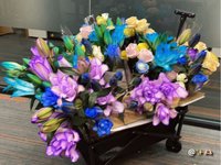 小豬略略略