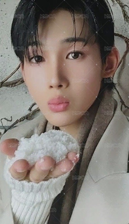 雪明かり (yukiakari) 專輯卡 單封C版專卡 正面