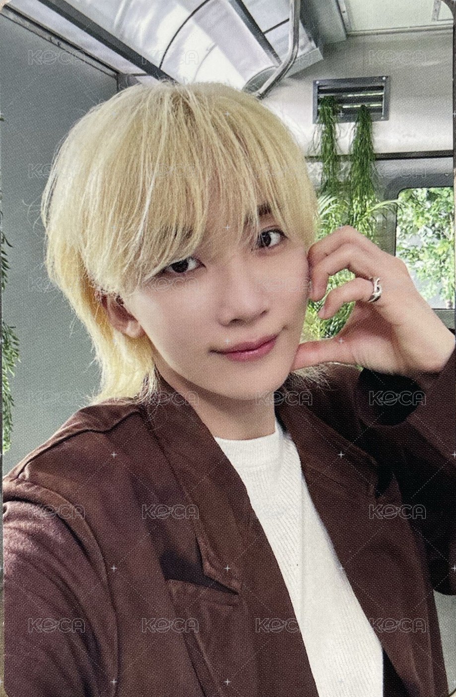 消費期限 專輯卡 消費期限專輯卡 正面