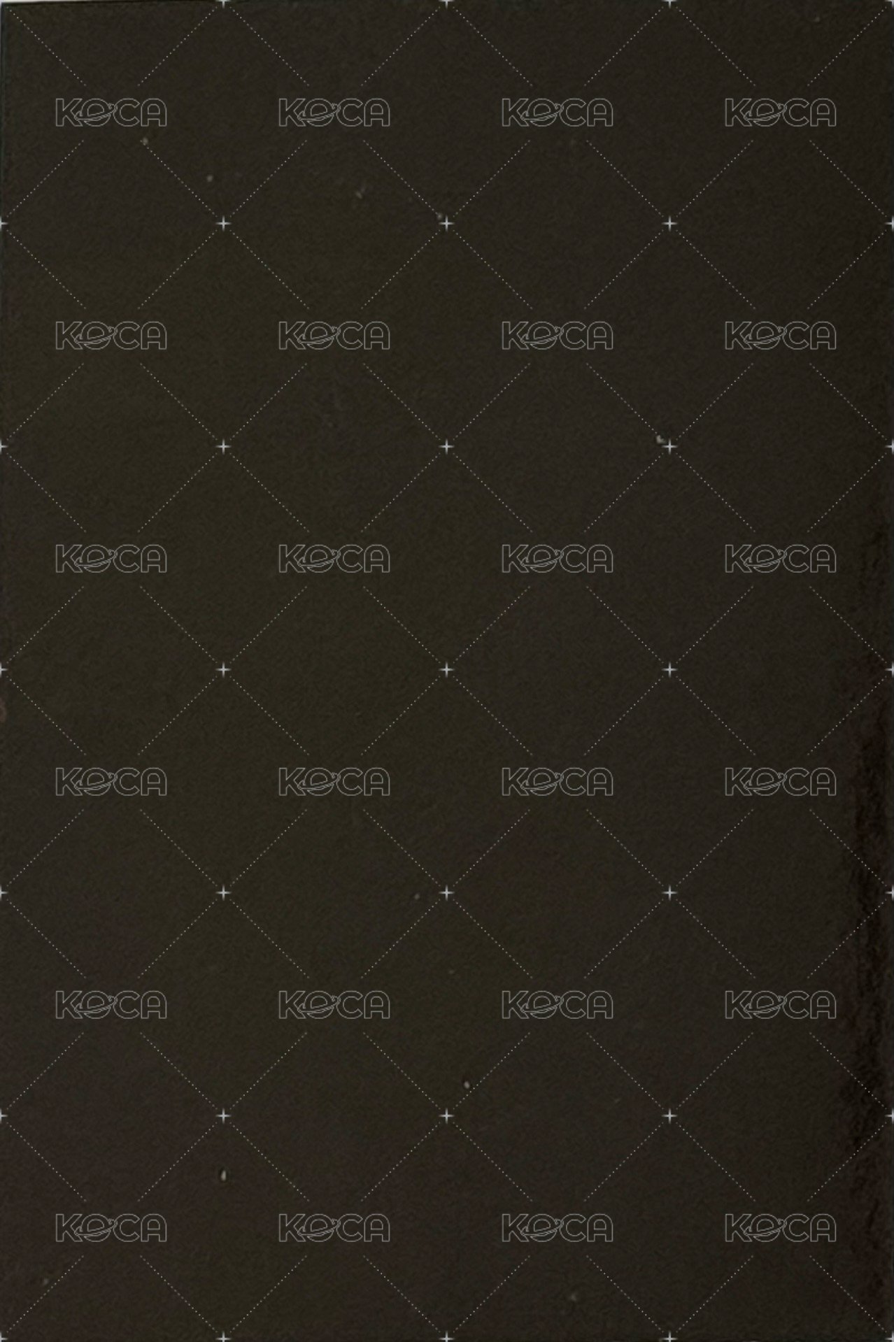 迷七 專輯卡  背面