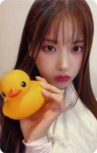 仲夏夜 ms 線上 2.0 簽售卡 小鴨