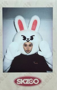 1st FM 周邊卡 拍立得