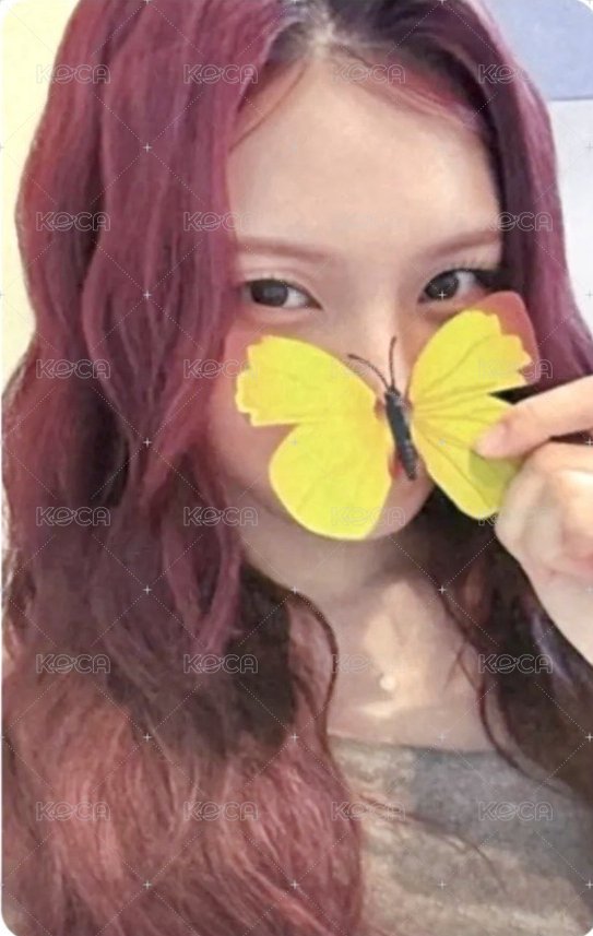 正一 ms 1.0線上 蝴蝶 簽售卡  正面