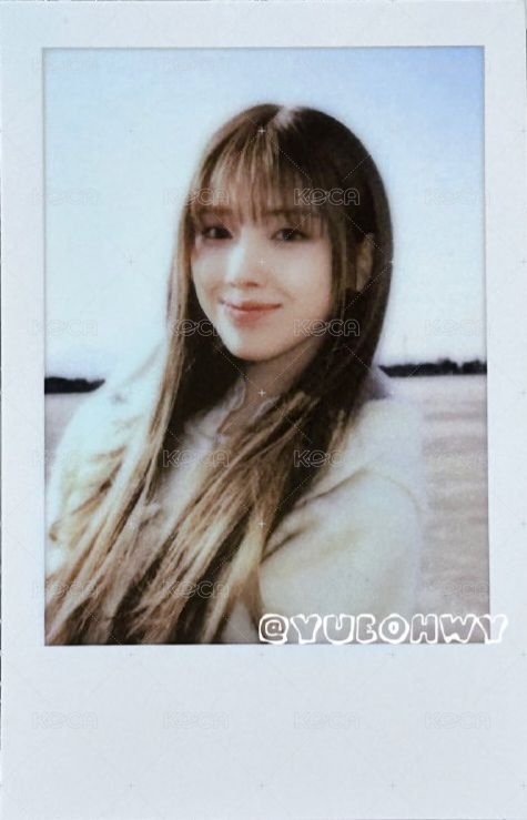 極光寫真 周邊卡 滑鼠墊卡 正面