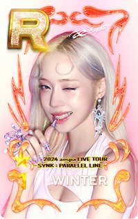二巡 遊戲卡 冬
