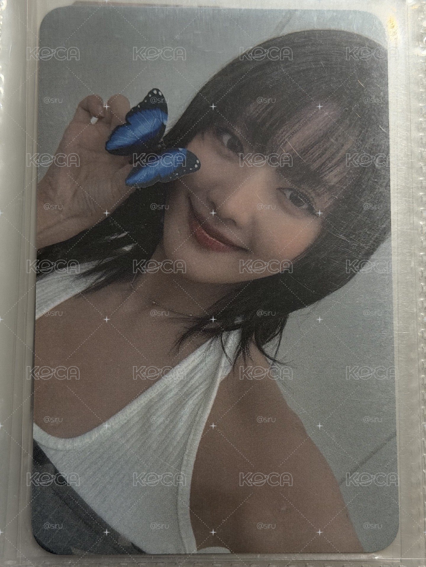 迷八 ny蝴蝶妮