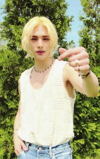 MAXIDENT target 特典卡 