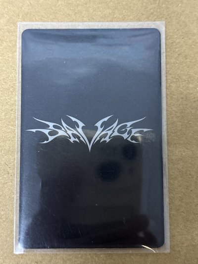 aespa Karina 柚子 Savage 專輯卡 hallucination quest 故障柚