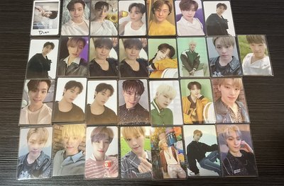 Seventeen 燦 特典/專卡/早期卡/隨機卡